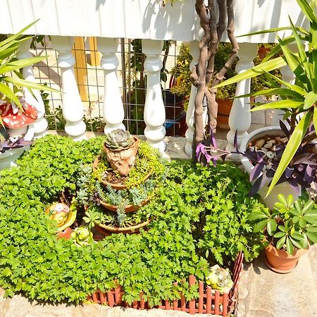 Hotel Dimitra Zeus Leptokarya  Dış mekan fotoğraf