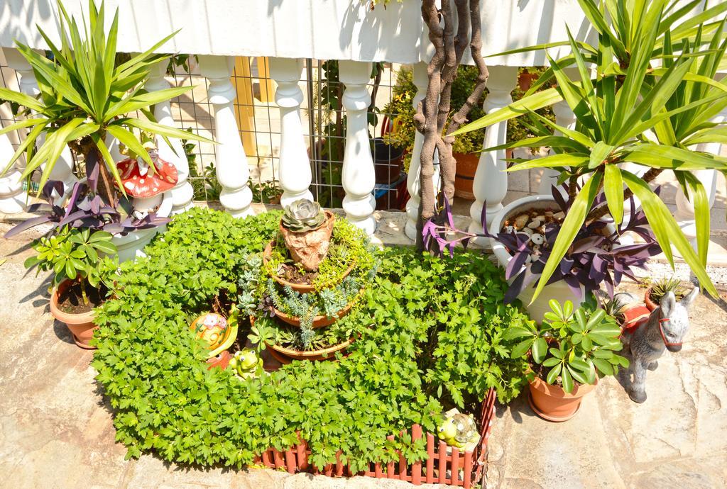 Hotel Dimitra Zeus Leptokarya  Dış mekan fotoğraf