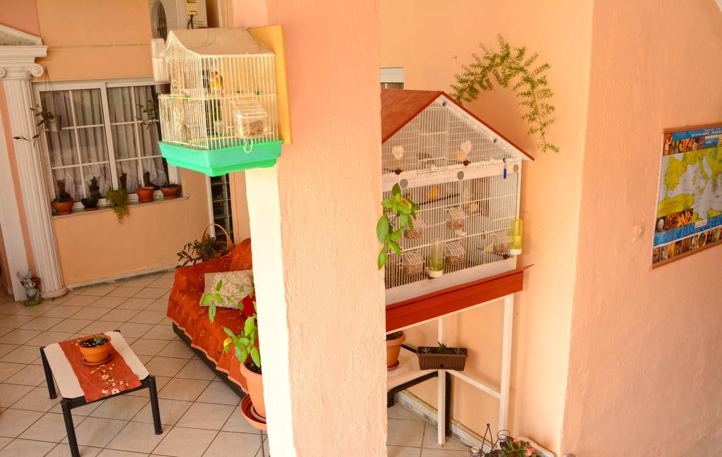 Hotel Dimitra Zeus Leptokarya  Dış mekan fotoğraf