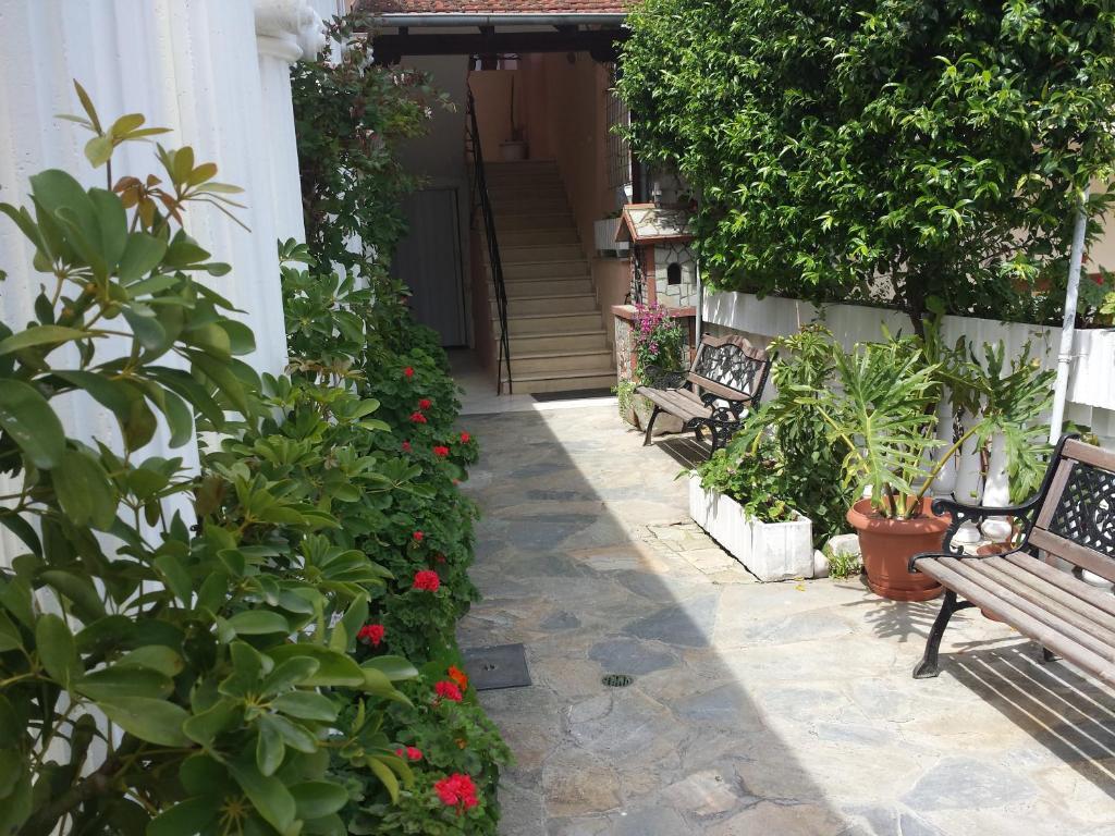 Hotel Dimitra Zeus Leptokarya  Dış mekan fotoğraf